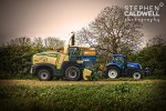 Silage 0384 Silage 0384